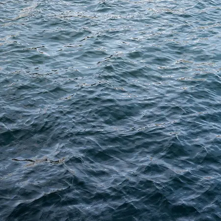 The Pier By Daniel&jacob's Lägenhetshotell 4*