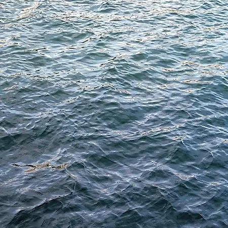 شقة فندقية The Pier By Daniel&jacob's
